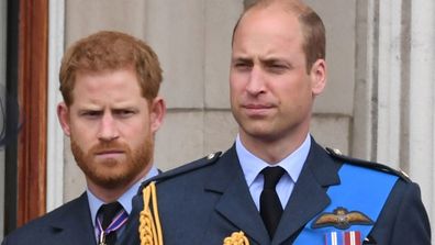 Prince Harry Prince William 2