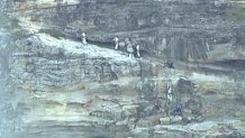 The site of the cliff in North Bondi where a man fell several metres. (9NEWS)