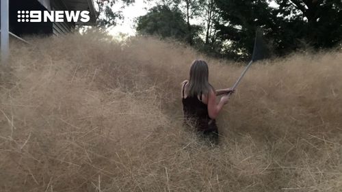 The homeowner is no match for the sea of tumbleweed in her backyard. (Copyright: 9NEWS)