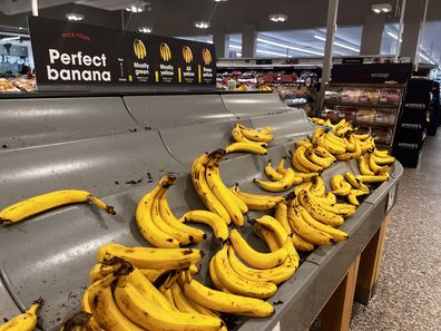 Bananas appear ripe, but that is not due to the fact that the cool weather takes longer to ripen