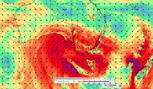 The wind gust speed and direction on Sunday June 5.