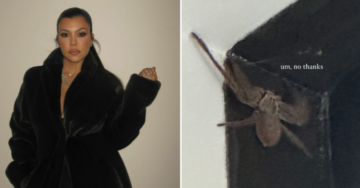 Kourtney Kardashian reveals her 'biggest fear is spiders' while in