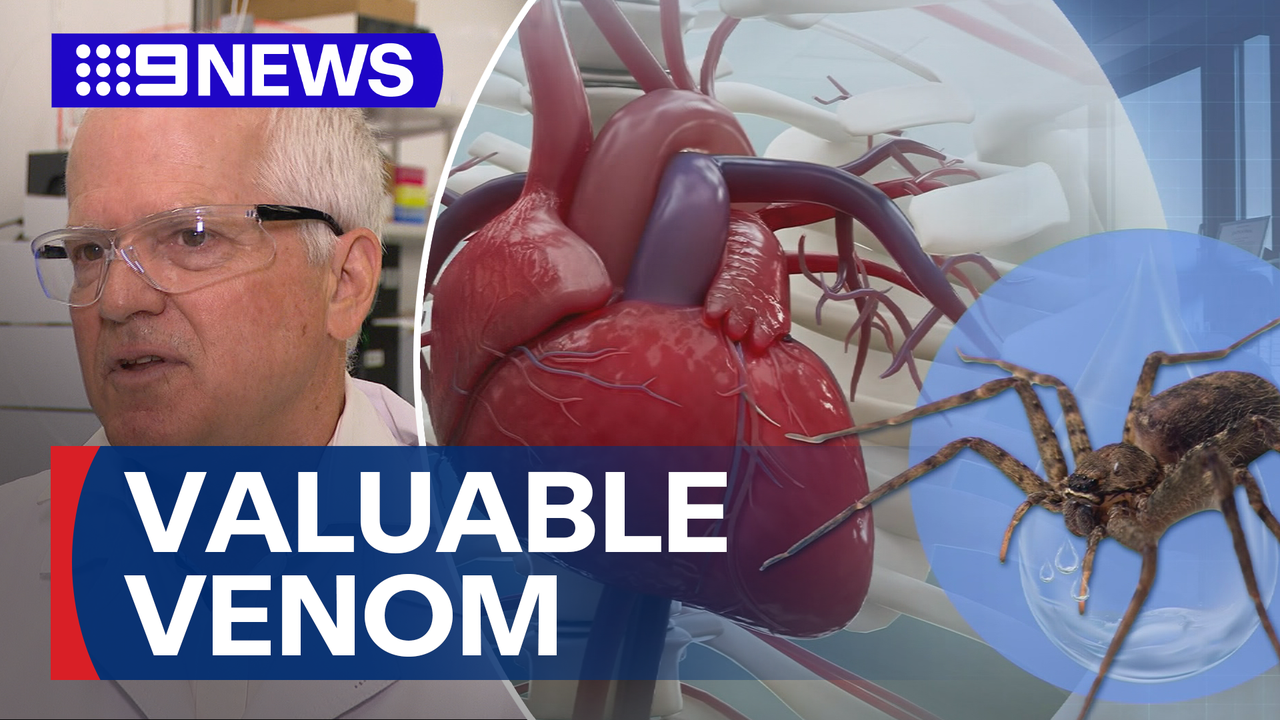 Watch 9News Latest Stories - Season 2026 - Australian researchers using ...