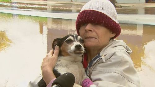 Une femme piégée dans les eaux de crue de Rochester retrouve un chien mourant.  Inondations de Victoria.