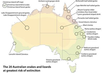 The 20 Australian snakes and lizards at greatest risk of extinction