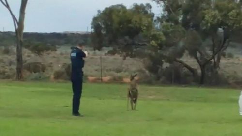 A South Australian police officer is at the centre of an online backlash after being filmed shooting an injured kangaroo multiple times in an attempt to put it down.