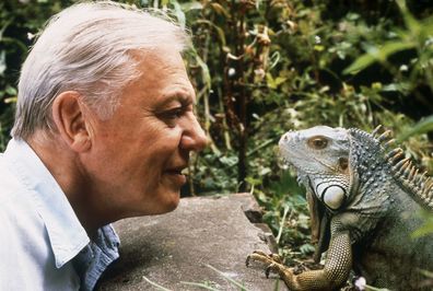 Attenborough said he misses going out on location. 