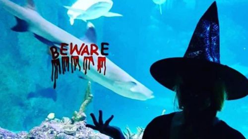This witch didn't fear water. (Sydney Aquarium)