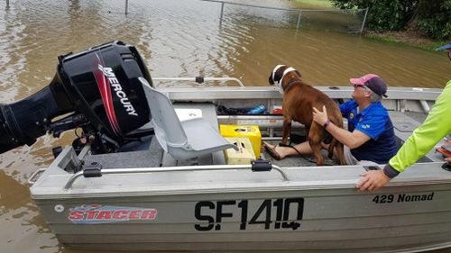 Tyson and Annette Burns being transported through floodwaters from the Halifax School. (Shelly Millns)