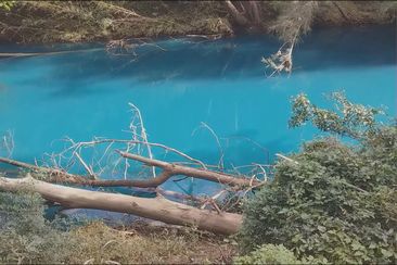 Blue Toongabbie creek
