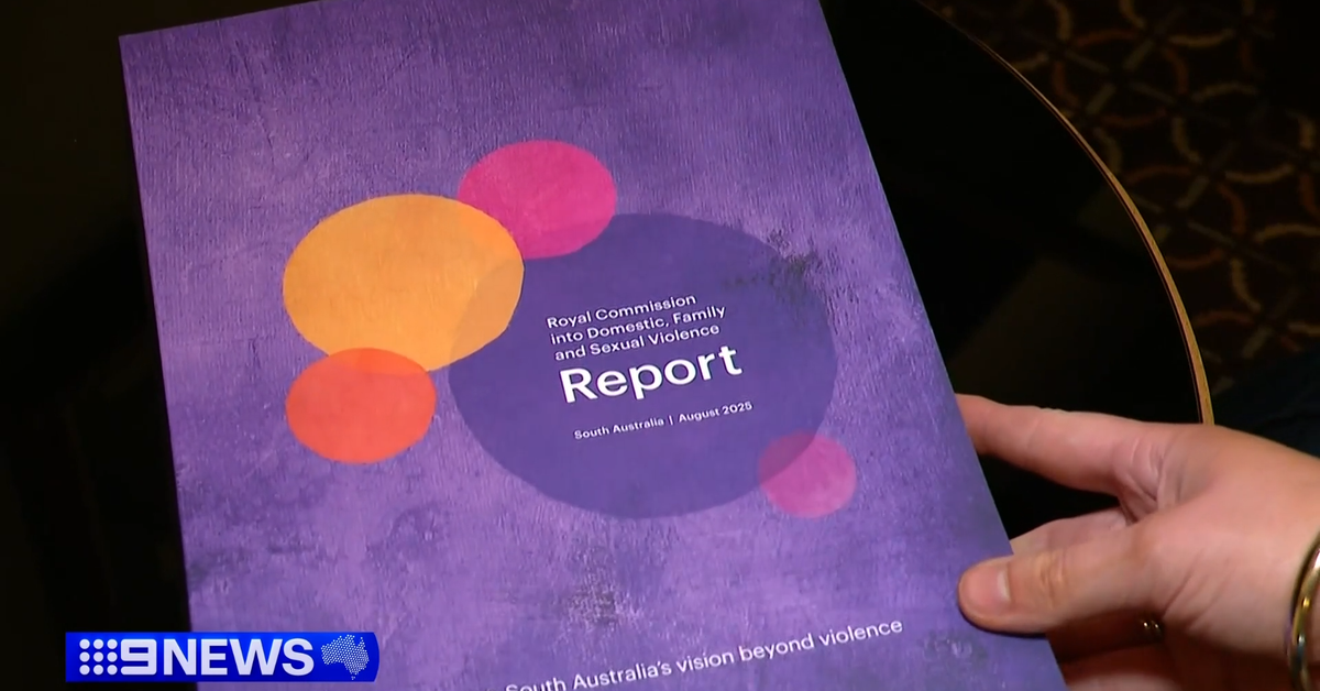 Domestic violence: SA premier commits to early changes after DV royal ...