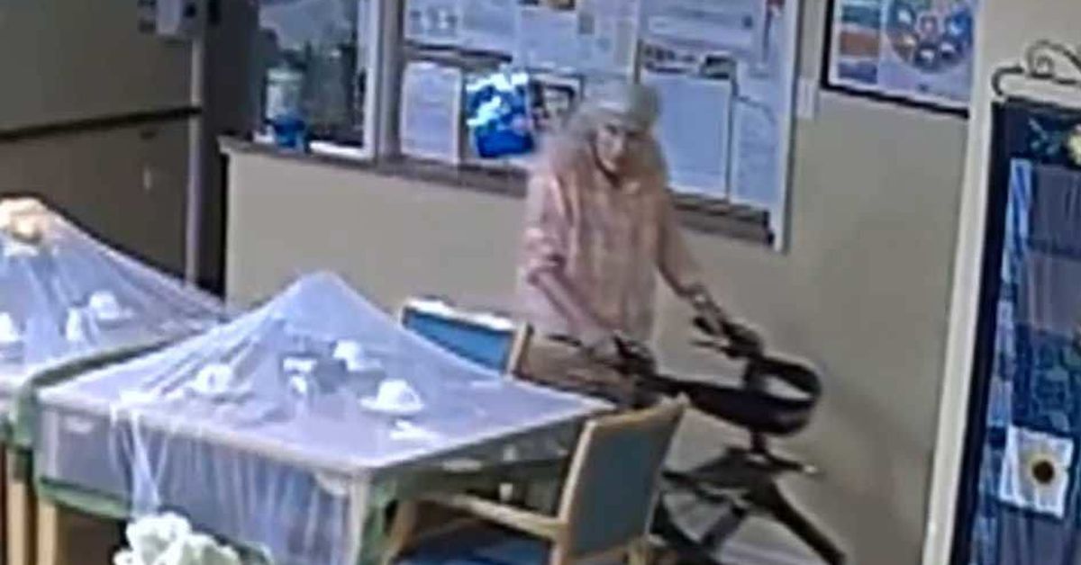 Inquest to probe cop's fatal tasering of grandmother