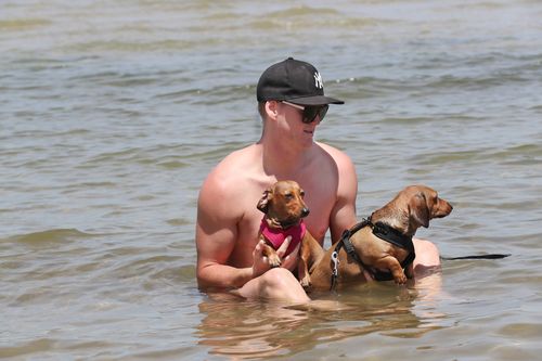 James Darcy takes his dogs for a swim during a hot day at St Kilda beach in Melbourne.