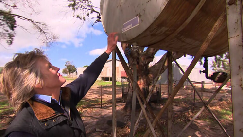 Due serbatoi di carburante nella proprietà di Sarah Thomson a Ruffy sono stati sifonati.