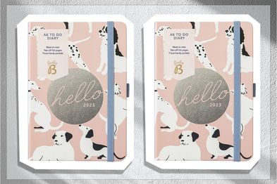 Busy B A6 To Do Diary 2023 Pink Dogs