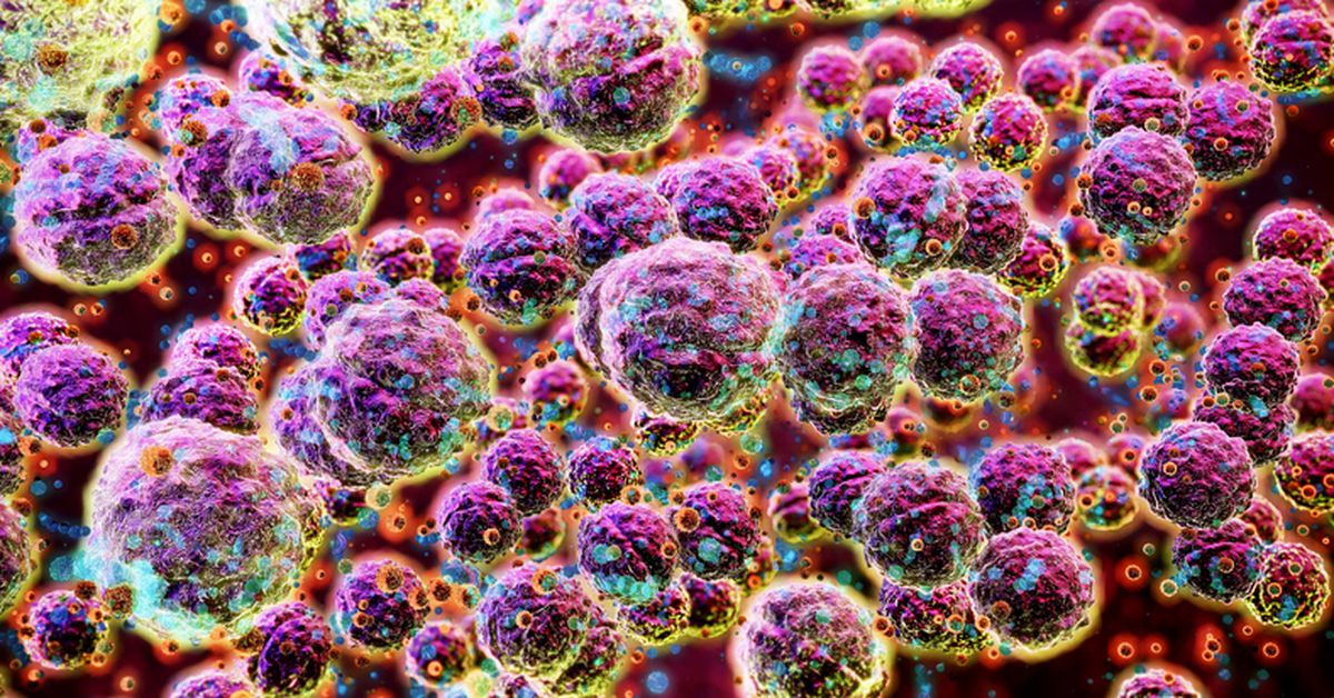 Little-known bacteria causing increasing rates of potentially deadly infections