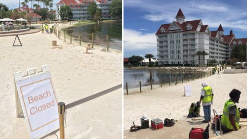 Disney World resort fences off lagoon after alligator kills two-year-old boy