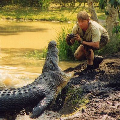 Steve Irwin