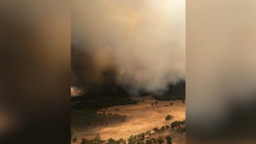 The fire near Dunedoo. (9NEWS)