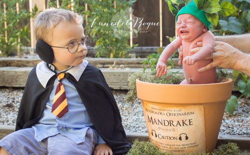 Married Harry Potter fans use young sons to recreate scenes from the series