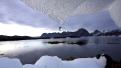 190423 Greenland ice sheet melting Climate Change world news
