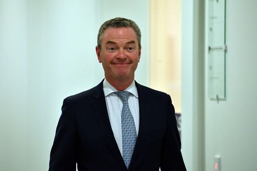 Christopher Pyne has defended Peter Dutton’s intervention to grant visas to au pairs, saying the Home Affairs minister followed ministerial processes