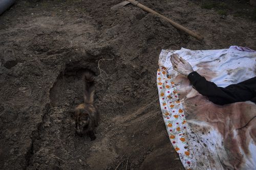 A cat rests inside the tomb where Lyudmyla Kononuchenko, 51, who was buried by family and friends after being hit by a rocket on March 23 during the war with Russia, in Irpin, in the outskirts of Kyiv, Ukraine, Friday , April 15, 2022. The corpse of Lyudmyla was exhumed in the yard of her house and taken to the morgue for analysis. (AP Photo/Rodrigo Abd)