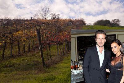 David Beckham couldn't just buy his wife a bottle of champers. Noooo, he had to go and buy her a whole vineyard in the famous Napa Valley.