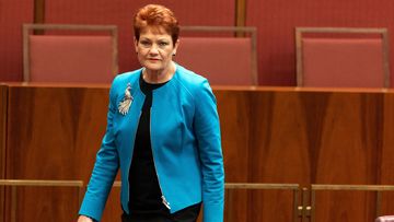 Senator Pauline Hanson is being sued for racial discrimination in the Federal Court by NSW Greens Senator Mehreen Faruqi.