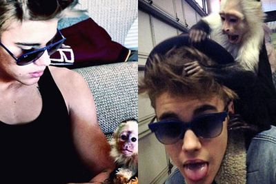 Oh and you're going to have to be really good with animals. Monkey Mally never did look after itself....<br/><br/>Source: Justin Bieber/Instagram
