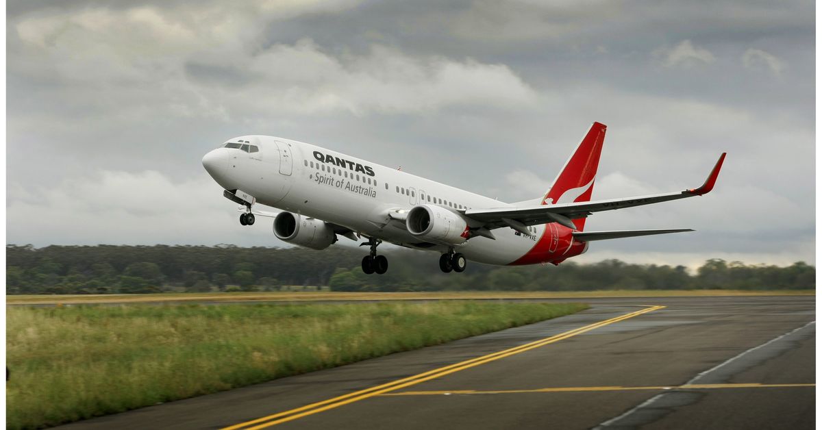 Bird strike forces Qantas passenger jet to abort flight