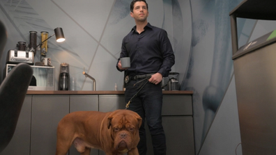 Crime-fighting duo's don't get more wholesome than 'Turner and Hooch'.