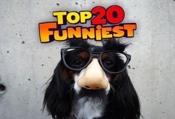 Top 20 Funniest