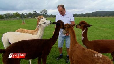 The former accountant said he traded in his corporate office for the countryside to host breakfast with Alpacas. 