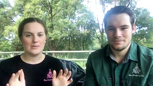 The footage, captured by travelling Queensland couple Taylor Arnell and Austin Ihle, has already racked up over 10 thousand views in 24 hours on social media.