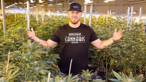 Tyler Dooley is developing a new hybrid strain of cannabis to celebrate his aunt’s wedding to Prince Harry.