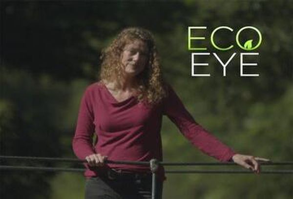 Eco Eye