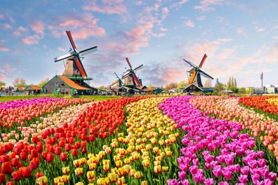 14. Netherlands