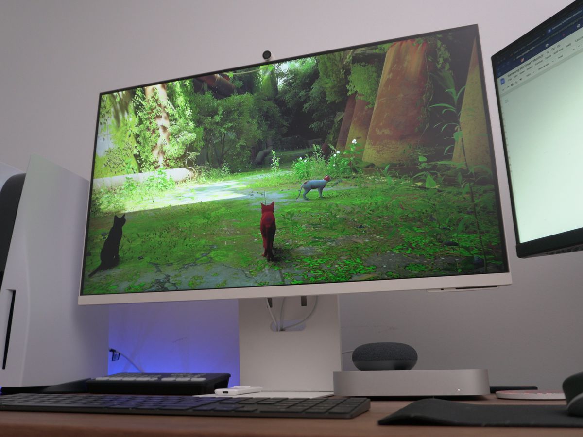 Samsung M8 4k Smart Monitor - What No-one Else Is Telling You 