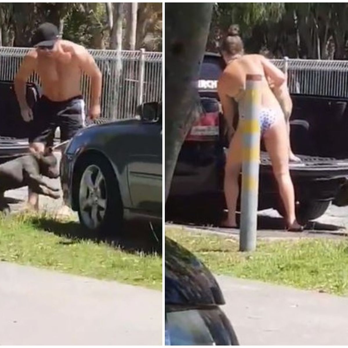Dog Kicker Gold Coast Man Pleads Guilty Over Viral Video Dog Kicker Gold Coast Man Pleads Guilty Over Viral Video