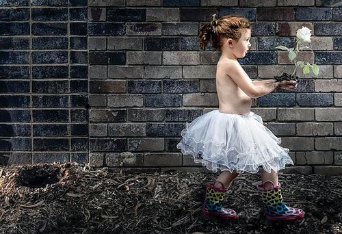 Liver recipient Indi Warner, 4, has paid homage to organ donors in a powerful photoshoot. (AAp / Mat Warner)