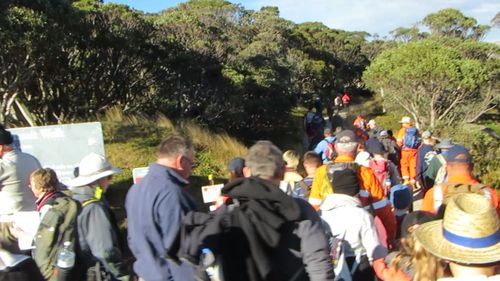 Children ascended Australia's tallest mountain in the Mt Kosciuszko Wheelchair Summit Challenge. 