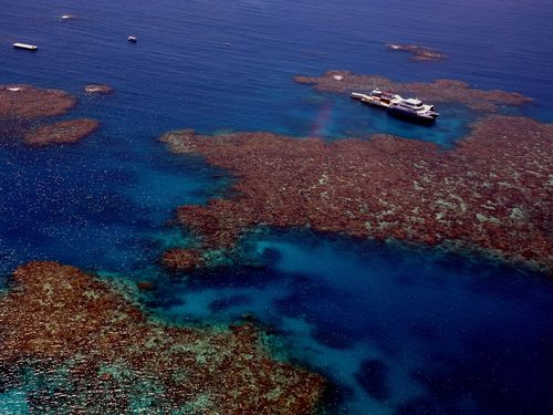 Environmental groups say the spend on the Greta Barrier Reef is not enough going forward. (AAP)