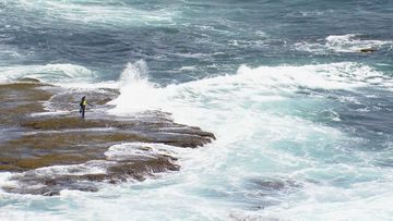 A rock fisherman thought to be in his 70s has died after being pulled from the water at Narrabeen on Sydney&#x27;s northern beaches.