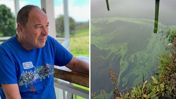 Scientists probing a possible link between motor neurone disease and blue-green algae are calling for the disease to be made notifiable. 