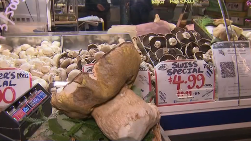 Fans coo over 'baby' two kilogram porcini mushroom sold at Adelaide market
