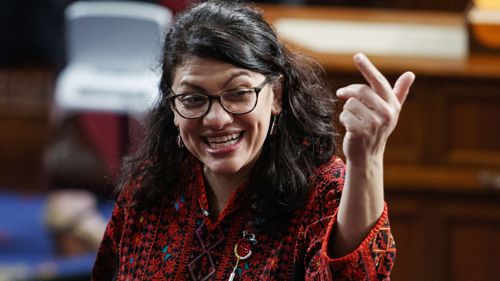 Rashida Tlaib represents Detroit, Michigan, in the US House of Representatives.