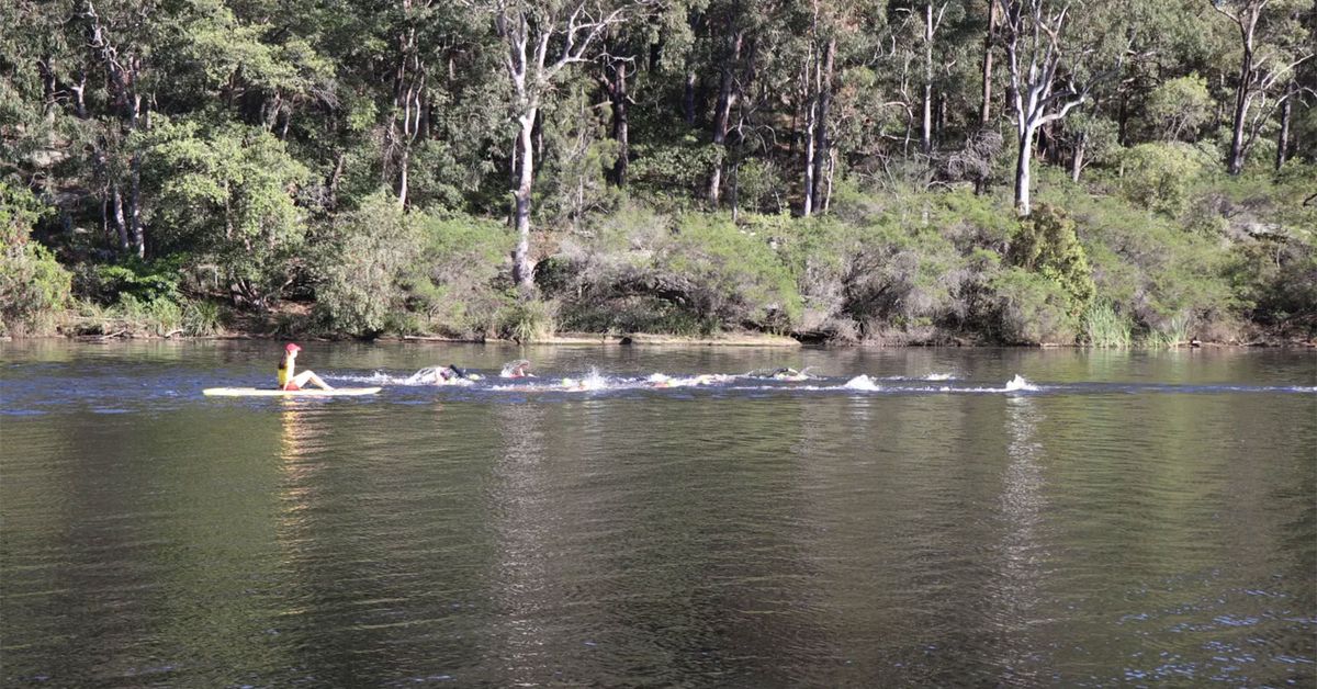 Body found in Sydney lake after man flees crash scene – 9News
