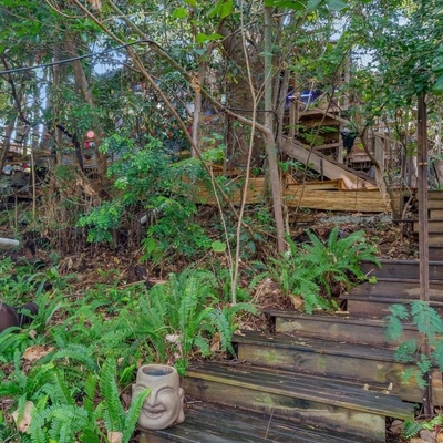 Quirky treehouse for sale in Queensland is concealed by lush greenery