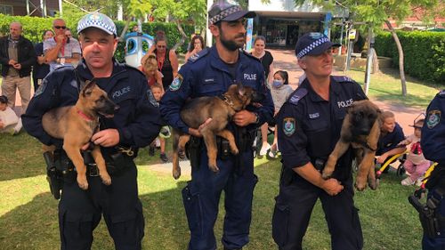 The puppies were officially named by patients at the Children's hospital. (9NEWS)